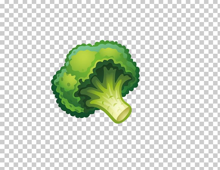 Vegetable Fruit Child Cauliflower Broccoli PNG, Clipart, Brassica Oleracea, Cauliflower Vector, Child Development, Computer Wallpaper, Crop Yield Free PNG Download