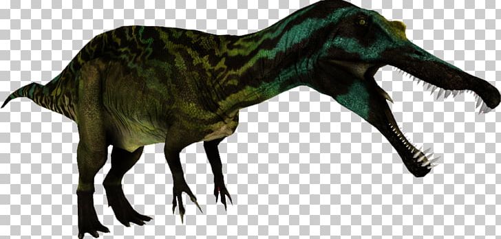 Zoo Tycoon 2 Tyrannosaurus Suchomimus Spinosaurus Irritator PNG, Clipart, Animal Figure, Austroraptor, Carnivora, Carnivoran, Dinosaur Free PNG Download