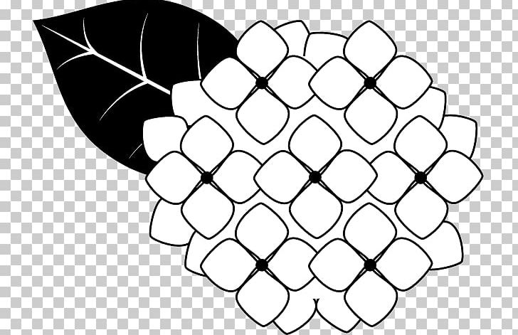Black And White French Hydrangea PNG, Clipart, Angle, Area, Black, Black And White, Cartoon Free PNG Download