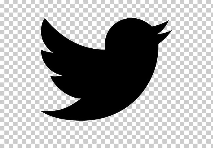 Logo Computer Icons Social Media PNG, Clipart, Beak, Bird, Bird Icon, Bird Logo, Black Free PNG Download