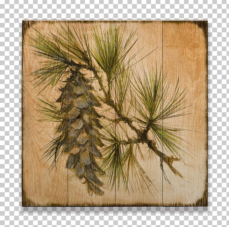 Pine Conifer Cone Larch Spruce PNG, Clipart, Art, Branch, Commodity, Cone, Conifer Free PNG Download