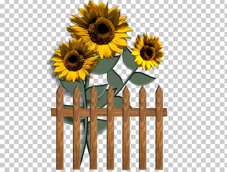 Common Sunflower Blog PNG, Clipart, Blog, Common Sunflower, Cut Flowers, Daisy Family, Floral Design Free PNG Download