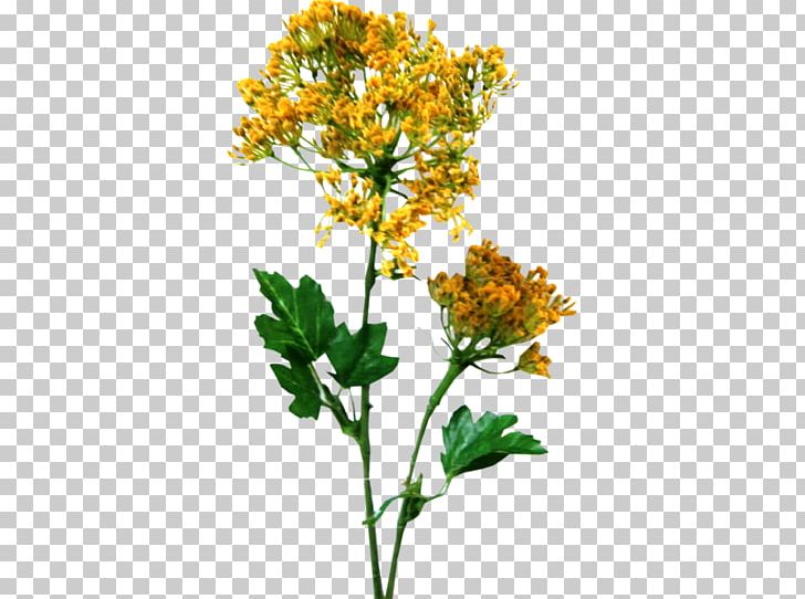 Twig Cut Flowers Plant Stem Shrub Herb PNG, Clipart, Branch, Cut Flowers, Flower, Flowering Plant, Herb Free PNG Download
