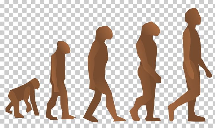 Human Evolution Homo Sapiens Biology Origen Del Hombre PNG, Clipart, Adn Escombraries, Arm, Biologist, Charles Darwin, Darwinism Free PNG Download