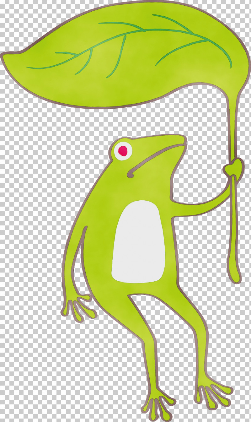 True Frog Tree Frog Frogs Cartoon Toad PNG, Clipart, Beak, Cartoon, Frog, Frogs, Green Free PNG Download