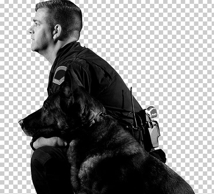 German Shepherd Police Dog Police Officer PNG, Clipart, Alamy, Black And White, Certified First Responder, Dog, Dog Breed Free PNG Download