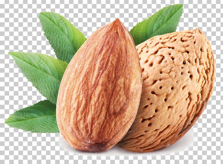 Marzipan Plant Milk Almond Drink Food PNG, Clipart, Almond, Almond Oil, Buckwheat, Carrier Oil, Cocoa Bean Free PNG Download