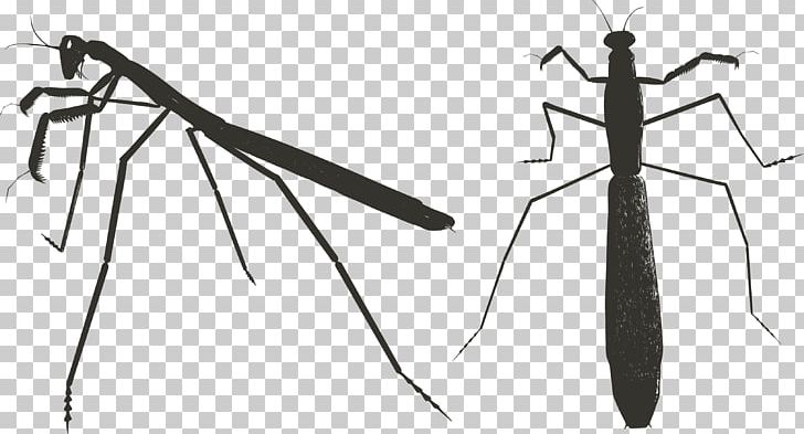 Praying Hands Insect Mantis Illustration PNG, Clipart, Angle, Art, Black And White, Cold Weapon, Euclidean Vector Free PNG Download