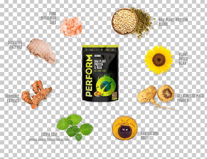 Raw Foodism Protein Veganism Bodybuilding Supplement Eiweißpulver PNG, Clipart, Bodybuilding Supplement, Branchedchain Amino Acid, Brand, Complete Protein, Essential Amino Acid Free PNG Download