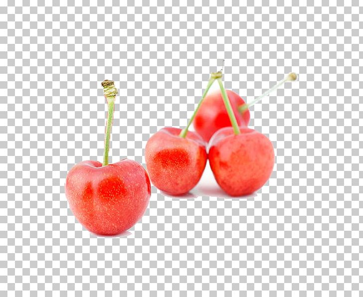 Barbados Cherry Snow Cone Italian Ice Cocktail PNG, Clipart, Accessory Fruit, Acerola, Acerola Family, Apple, Auglis Free PNG Download