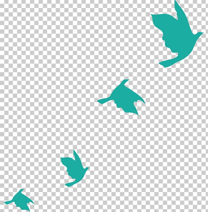 Bird Columbidae Euclidean PNG, Clipart, Adobe Illustrator, Animals, Aqua, Blue, Computer Graphics Free PNG Download