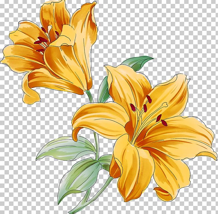 Flower PNG, Clipart, Adobe Fireworks, Computer Software, Cut Flowers, Daisy Family, Daylily Free PNG Download