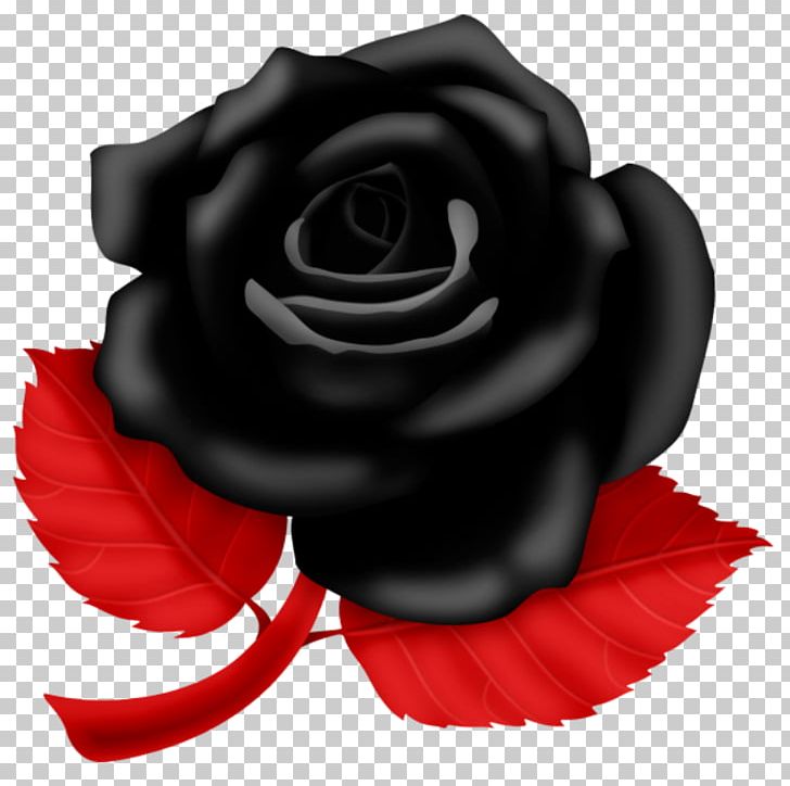 Graphics Garden Roses PNG, Clipart, Black Rose, Cut Flowers, Desktop Wallpaper, Flower, Flowering Plant Free PNG Download