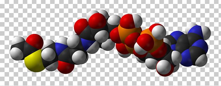 Acetyl-CoA Coenzyme A Acetyl Group Citric Acid Cycle PNG, Clipart, 3 D, Acetylcarnitine, Acetylcoa, Acetyl Group, Acylcoa Free PNG Download