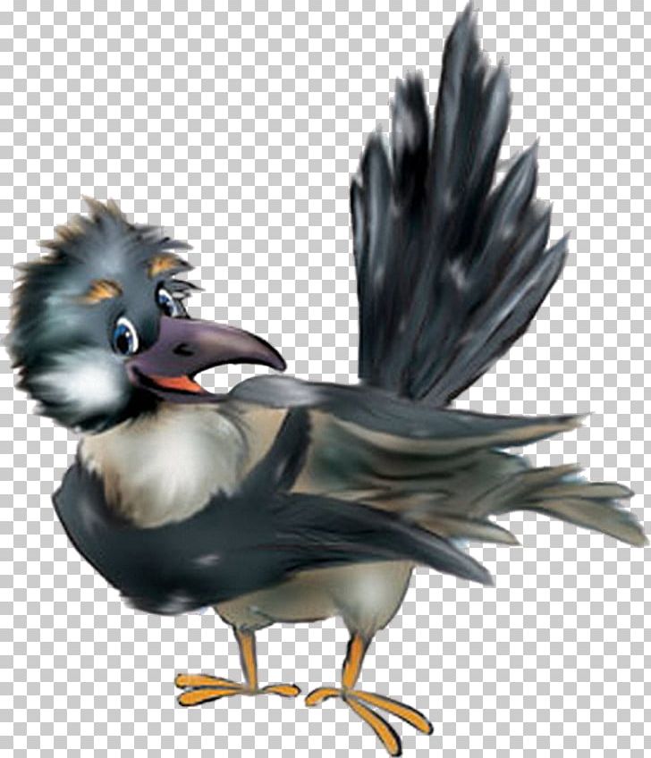 Bird Of Prey PNG, Clipart, Animal, Animals, Beak, Bird, Bird Of Prey Free PNG Download