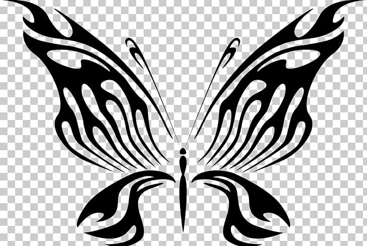 Butterfly Drawing Line Art PNG, Clipart, Art, Arthropod, Black, Black, Brush Footed Butterfly Free PNG Download
