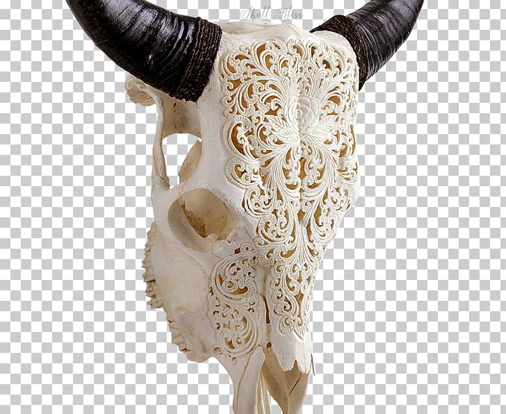 Skull Horn Antler Bison Cattle PNG, Clipart, Antler, Barbed Wire, Bison, Bone, Cart Free PNG Download