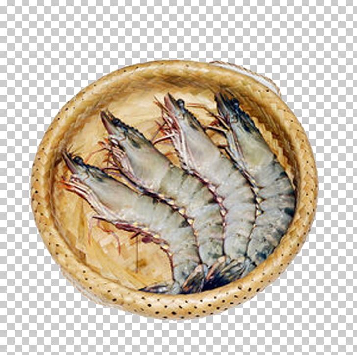 Vietnam Fish Chinese White Shrimp PNG, Clipart, Animals, Animal Source Foods, Box, Cartoon Lobster, Deep Sea Fish Free PNG Download