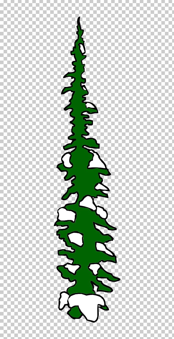 Christmas Tree Spruce Fir Pine Christmas Ornament PNG, Clipart, Branch, Christmas, Christmas Decoration, Christmas Ornament, Christmas Tree Free PNG Download