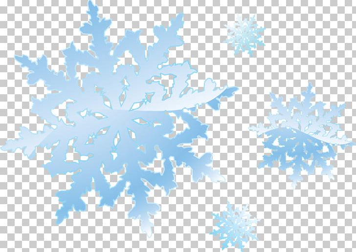 Snowflake PNG, Clipart, Blue, Branch, Cloud, Computer Icons, Computer Wallpaper Free PNG Download
