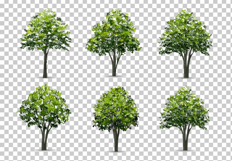 Arbor Day PNG, Clipart, Arbor Day, Flower, Grass, Leaf, Plane Free PNG Download