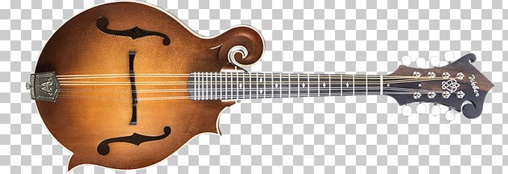 Acoustic-electric Guitar Octave Mandolin Nut PNG, Clipart, Acousticelectric Guitar, Acoustic Electric Guitar, Acoustic Guitar, Bass, Guitar Accessory Free PNG Download