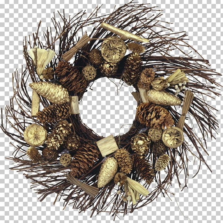 Conifer Cone Christmas Decoration Christmas Ornament Wreath PNG, Clipart, Advent Wreath, Christmas, Christmas Decoration, Christmas Ornament, Conifer Cone Free PNG Download