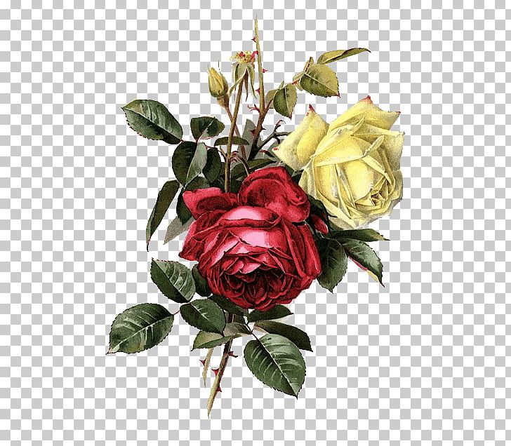Garden Roses Cabbage Rose Painter Cut Flowers PNG, Clipart, Artificial Flower, Cut Flowers, Embroidery, Floral Design, Floristry Free PNG Download