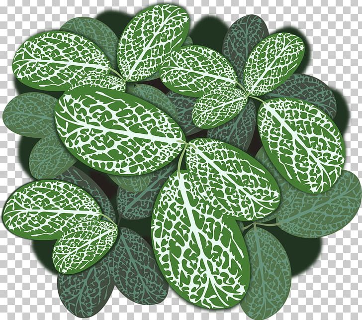 Leaf Plant Leaves PNG, Clipart, Clip Art, Computer Icons, Green, Leaf, Plant Free PNG Download