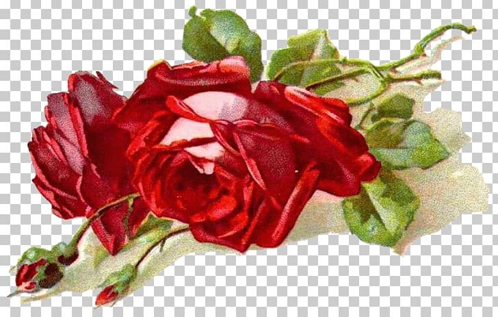 Paper Decoupage Art PNG, Clipart, Art, Artificial Flower, Cut Flowers, Digital Image, Floral Design Free PNG Download