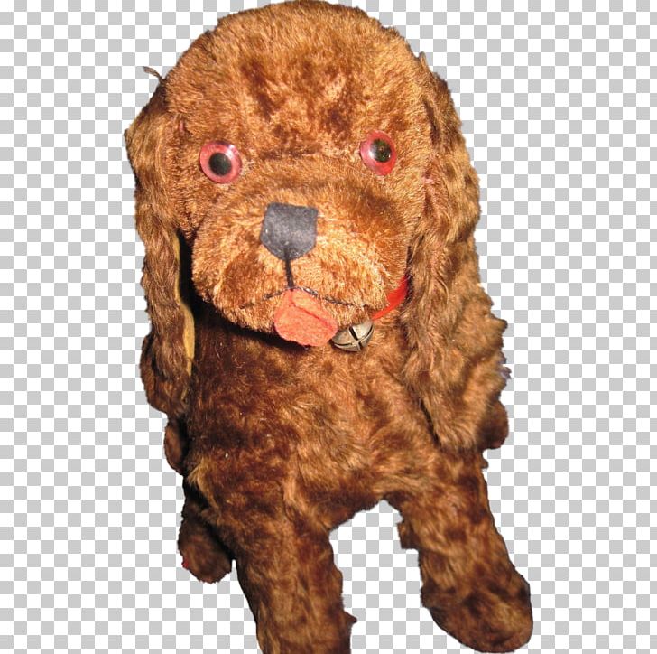 Standard Poodle Miniature Poodle Toy Poodle Cockapoo Goldendoodle PNG, Clipart, Animals, Breed, Carnivoran, Cockapoo, Cocker Free PNG Download