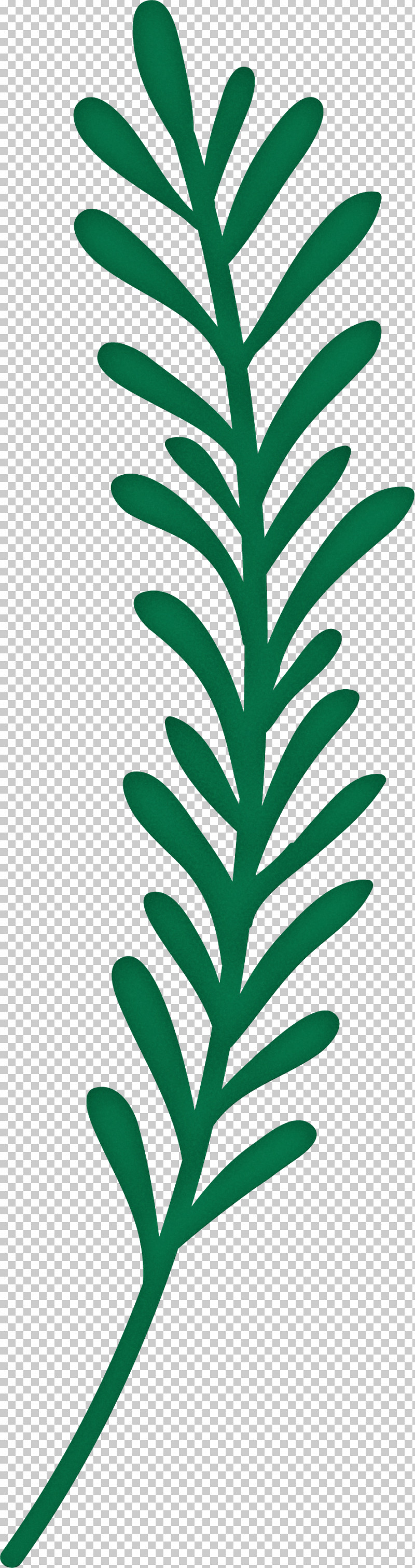 Leaf PNG, Clipart, Biological Pigment, Biology, Leaf, Photosynthesis, Photosynthetic Pigment Free PNG Download