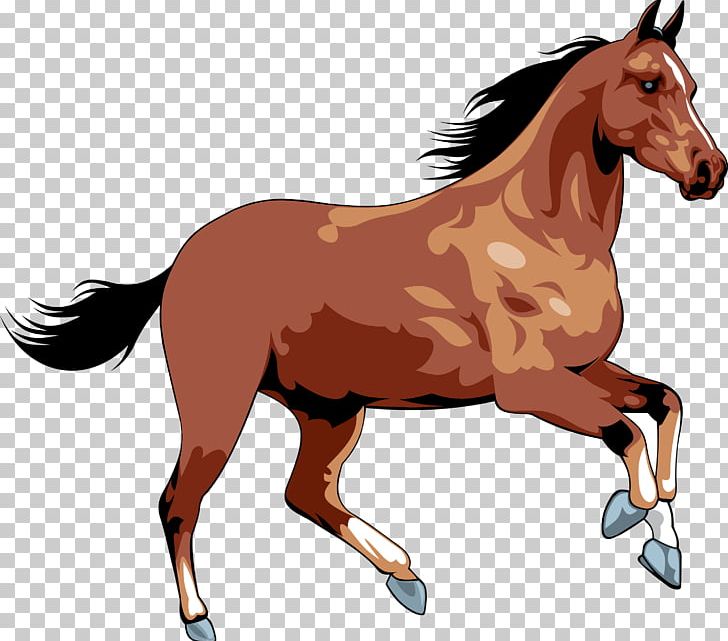Wild Horse PNG, Clipart, Animals, Bridle, Canter And Gallop, Colt, Encapsulated Postscript Free PNG Download