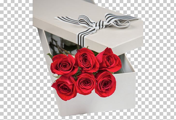 Garden Roses BG Flowers Cut Flowers Floral Design PNG, Clipart, Bg Flowers, Box, Cut Flowers, Floral Design, Floristry Free PNG Download