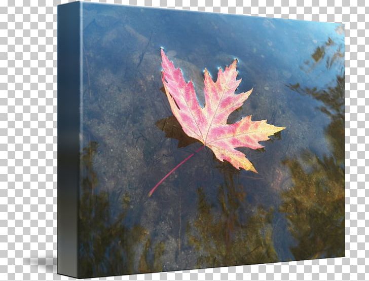 Maple Leaf Painting PNG, Clipart, Art, Floating Leaves, Leaf, Maple, Maple Leaf Free PNG Download