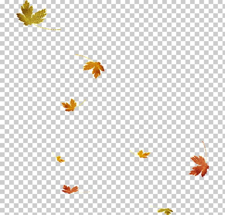 Leaf Orange Branch PNG, Clipart, Branch, Butterfly, Computer Software, Computer Wallpaper, Desktop Wallpaper Free PNG Download