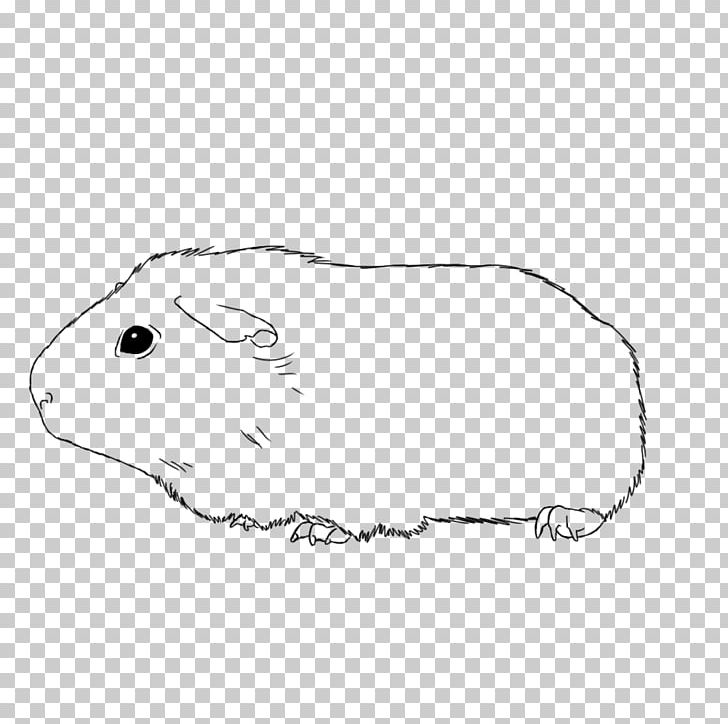 American Guinea Pig Drawing Coloring Book PNG, Clipart, Angle, Animal, Animals, Area, Beaver Free PNG Download