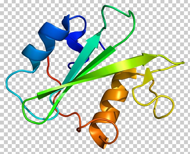 Megakaryocyte-associated Tyrosine Kinase Protein Leukocyte Receptor Tyrosine Kinase PNG, Clipart, Artwork, Chromosome, Gene, Jakstat Signaling Pathway, Kinase Free PNG Download