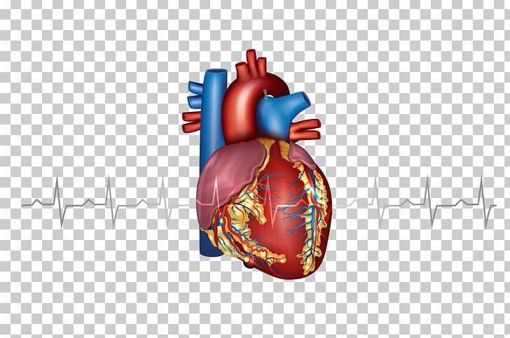 Myocardial Infarction Heart Cardiovascular Disease Artery PNG, Clipart, Atheroma, Atherosclerosis, Cardiology, Cartoon Heart, Circulatory System Free PNG Download