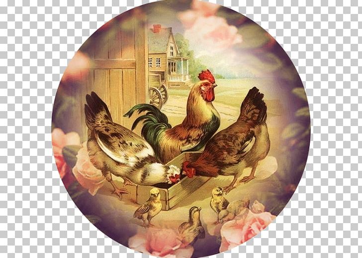 Chicken Rooster Poultry Farming Poultry Farming PNG, Clipart, Animals, Animals Clipart, Bird, Chicken, Chickens And Chicks Free PNG Download