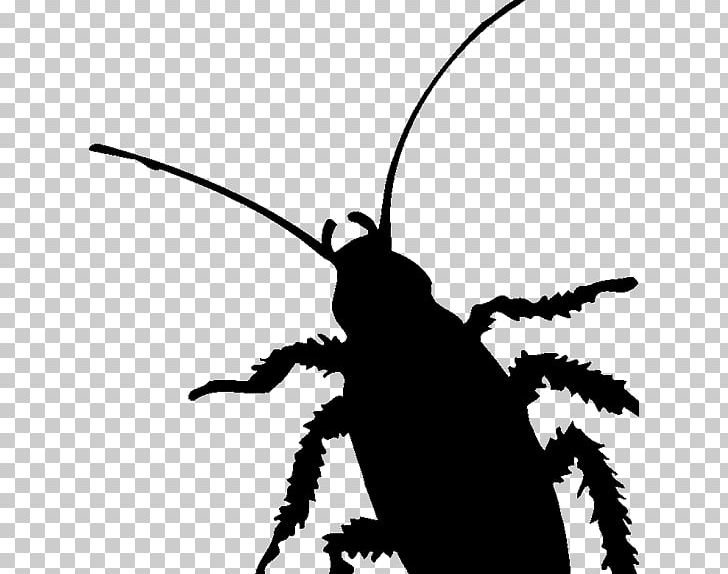 Cockroach Insect Pest Silhouette PNG, Clipart, Animals, Artwork, Black And White, Cockroach, Diagram Free PNG Download