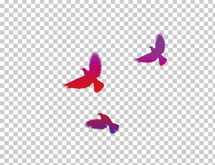 Google S PNG, Clipart, Animals, Bird, Bird Cage, Birds, Colo Free PNG Download
