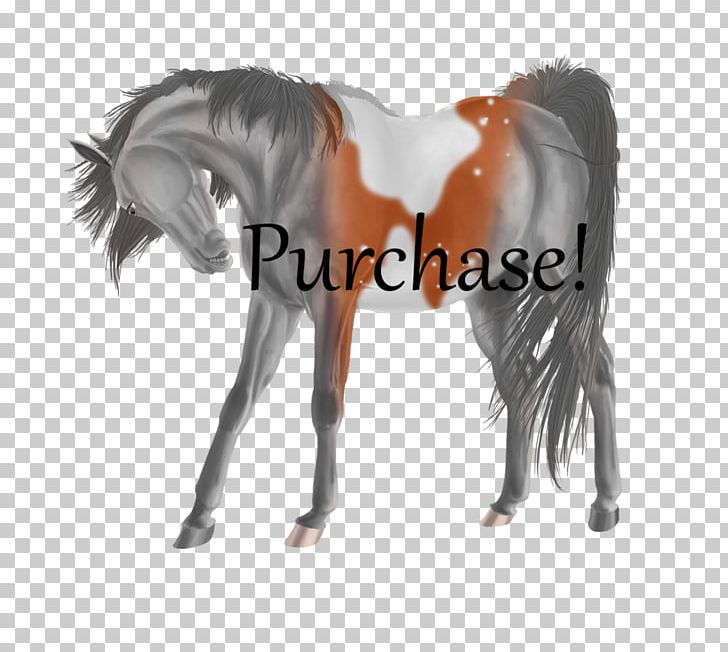 Mane Mustang Stallion Foal Halter PNG, Clipart, Animal Figure, Bridle, Foal, Halter, Harness Racing Free PNG Download