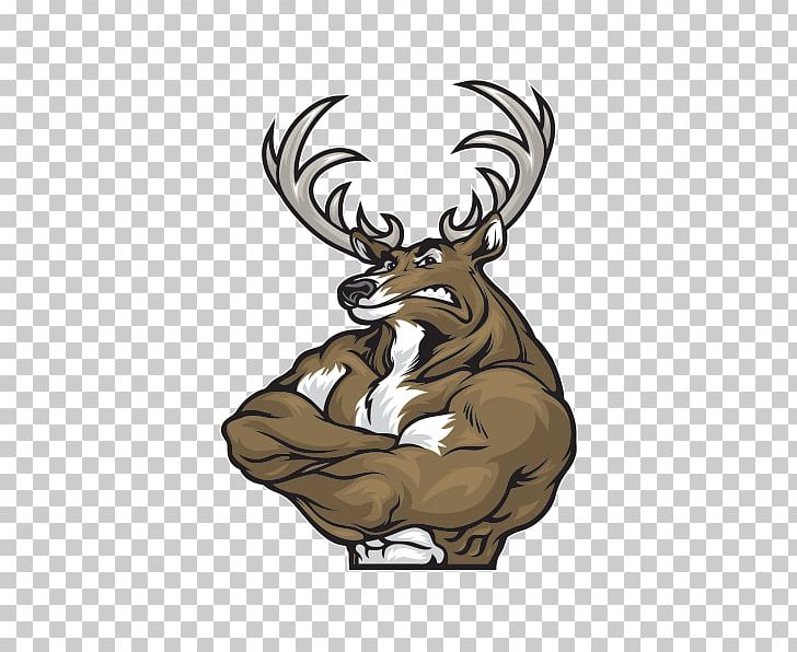 Reindeer Elk Roe Deer Muscle PNG, Clipart, Anatomy, Antler, Bodybuilding, Cartoon, Deer Free PNG Download