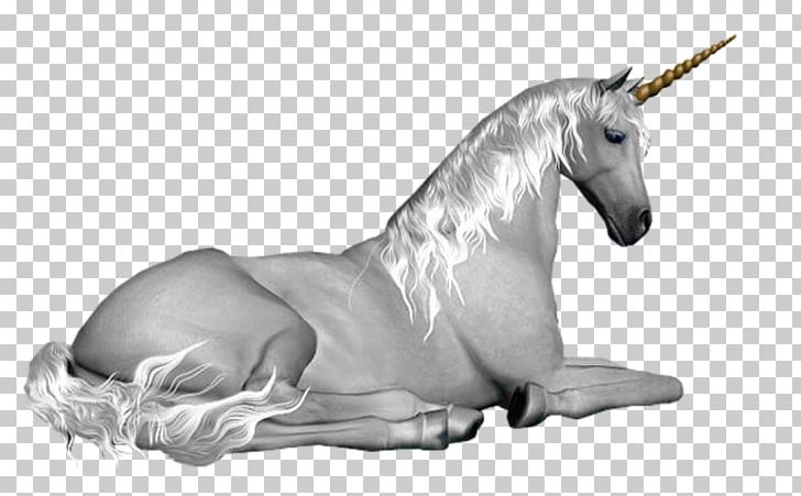 Unicorn GIF Fairy Horse Legendary Creature PNG, Clipart, Apunt, Black And White, Blog, Centerblog, Drawing Free PNG Download