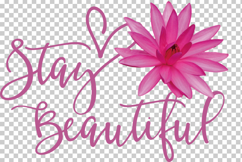 Stay Beautiful Fashion PNG, Clipart, Biology, Cut Flowers, Fashion, Floral Design, Flower Free PNG Download