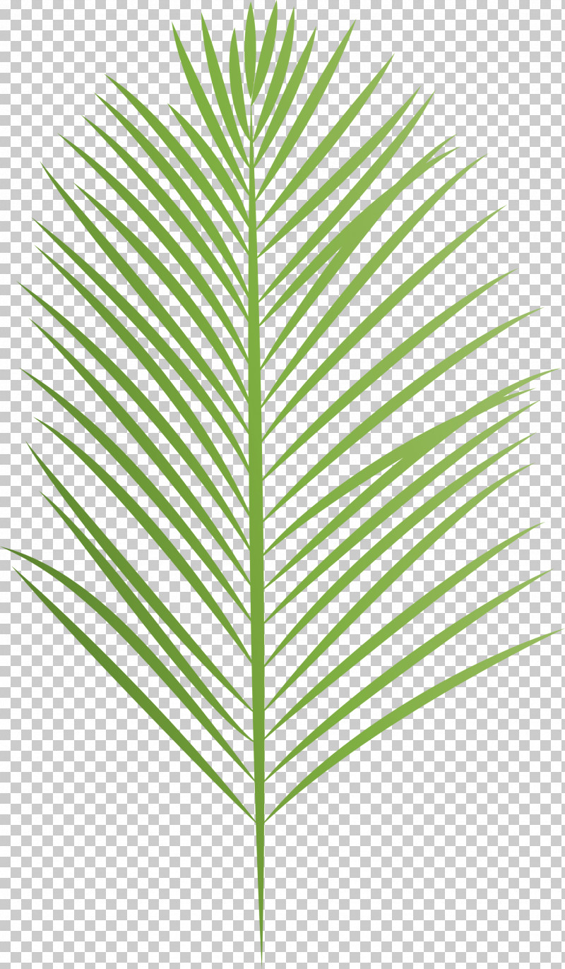 Arabian Landscape PNG, Clipart, Arabian Landscape, Biology, Grasses, Leaf, Line Free PNG Download