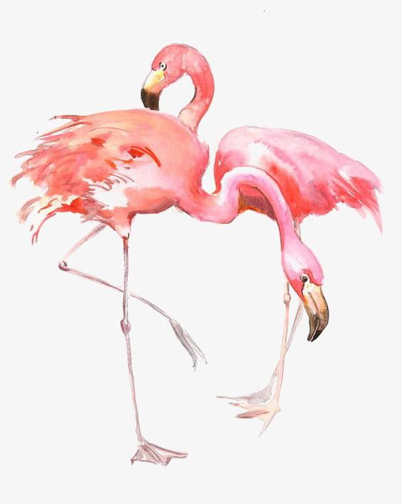 Drawing Flamingos PNG, Clipart, Animal, Creative, Drawing Clipart, Flamingo, Flamingos Free PNG Download