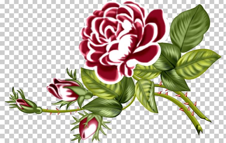 Garden Roses Floral Design Flower Bouquet Cut Flowers PNG, Clipart, Blog, Carnation, Cut Flowers, Diary, Drawing Free PNG Download