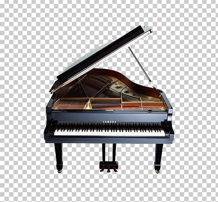 Korg Kronos U5168u65e5u672cu30d4u30a2u30ceu6307u5c0eu8005u5354u4f1a Piano Musical Instrument PNG, Clipart, Background Black, Black, Black Background, Black Board, Black Hair Free PNG Download